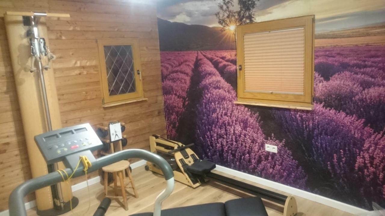 Eifelyeti Ferienwohnung Ellscheid Екстер'єр фото